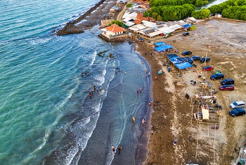 五年級觀后感沖鋒號