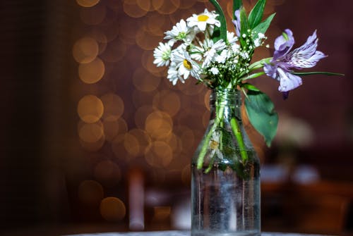 五年級(jí)日記拼樂(lè)高積木