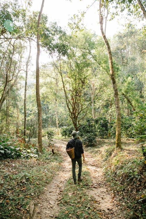 描寫春節(jié)的日記