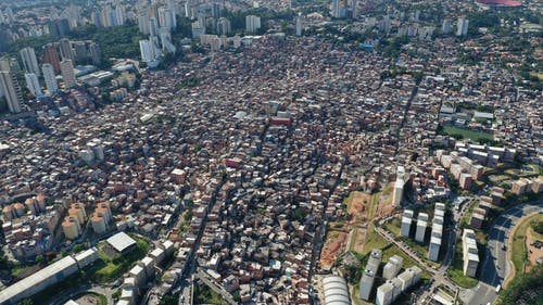 至尊王者小說(shuō)爽文陳凡宋雨薇全書(shū)閱讀