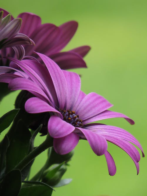 我真不是道師小說(shuō)異世界陳道師白秋山全集閱讀 我真不是道師小說(shuō)異世界陳道師白秋山全集閱讀