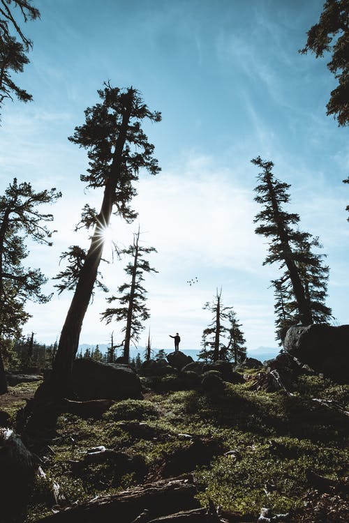 五年級狀物作文智能課桌