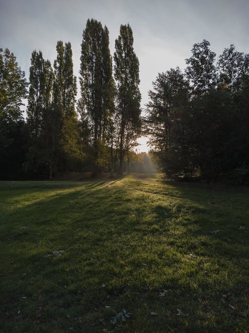 五年級想象作文當一天老師 五年級想象作文當一天老師