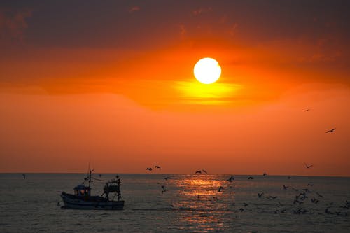 《水調(diào)歌頭·和馬叔度游月波樓》原文及譯文