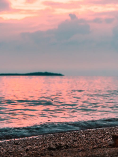 表白愛情文言文句子