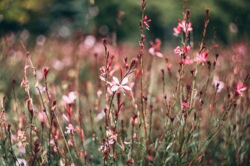 常用多音字總結(jié)【五】 常用多音字總結(jié)【五】
