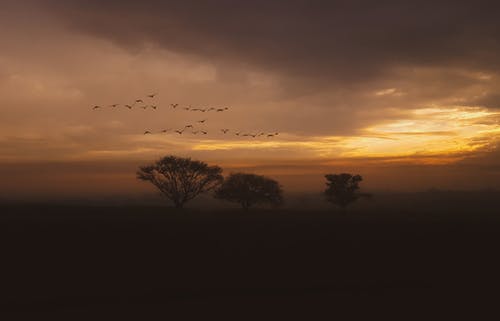 五年級(jí)期末考試作文我和我的老師