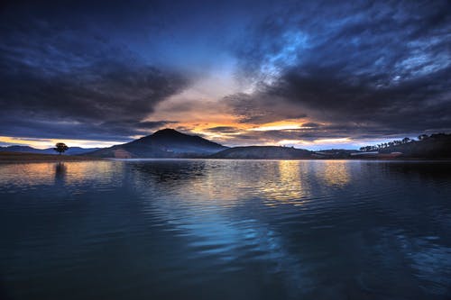 白雁落網(wǎng)文言文翻譯