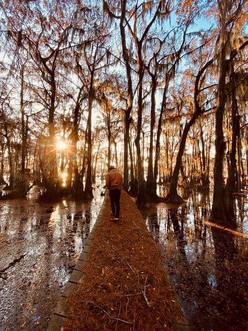 傅總家的乖乖們萌到吐奶小說(shuō)傅越臨鹿綿綿無(wú)刪減閱讀