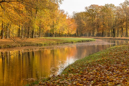 玄幻西游之逆回混沌小說主角朱溫?zé)o彈窗閱讀
