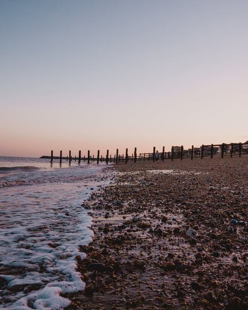 有關(guān)觀察小狗的日記范文集錦九篇 有關(guān)觀察小狗的日記范文集錦九篇