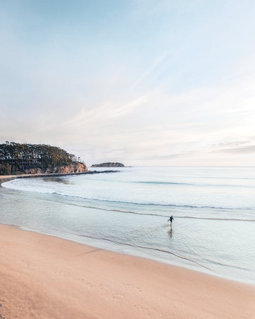 連載中以我為王的世界小說(shuō)陳龍穆染菲小雨章節(jié)閱讀