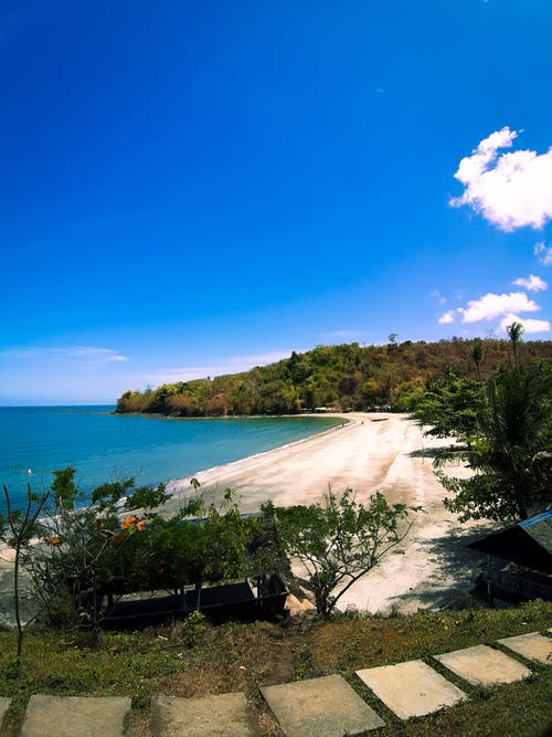 五年級(jí)觀后感《昆蟲總動(dòng)員》觀后感 五年級(jí)觀后感《昆蟲總動(dòng)員》觀后感