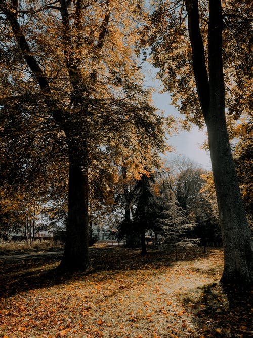 非誠勿擾2經(jīng)典臺(tái)詞 非誠勿擾2經(jīng)典臺(tái)詞