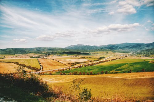 第一個人類小說新書趙風(fēng)王燕章節(jié)閱讀