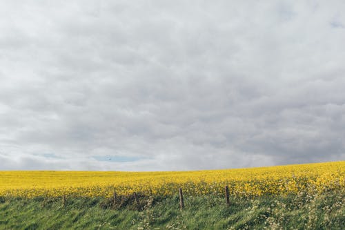 美好文藝新婚祝福語
