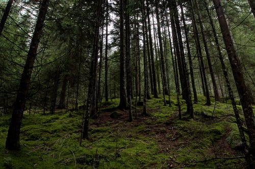 長輩過生日祝福語 長輩過生日祝福語