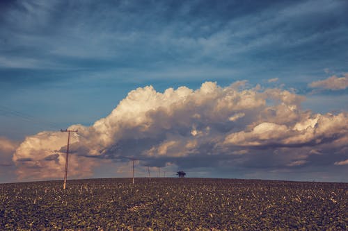 描寫春天的詩(shī)歌150字