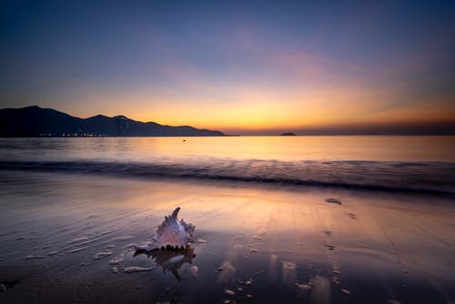 四月聽花的微笑詩歌