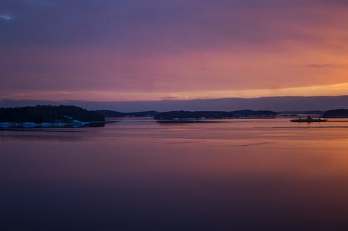河陽豬文言文翻譯