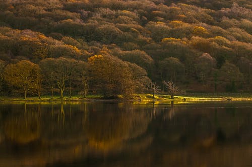 五年級敘事作文我的自畫像