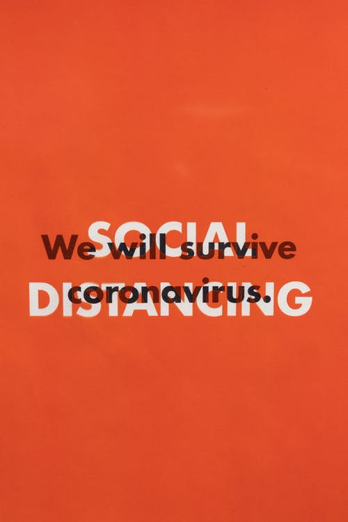 五年級看圖作文放生小蝌蚪