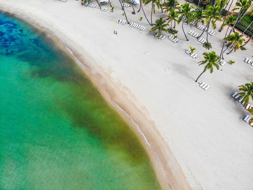 我是財(cái)神爺徒弟小說(shuō)逆襲陸巖宋靈雨無(wú)錯(cuò)版閱讀