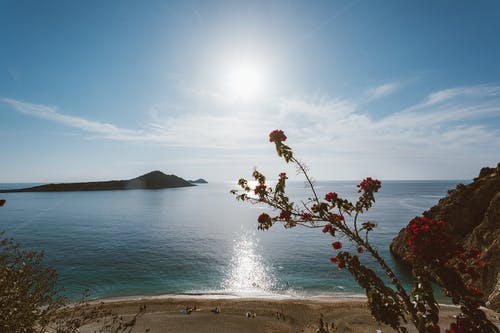 五年級寫人作文菜市場老板