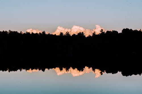 優(yōu)美文藝句子合集98句