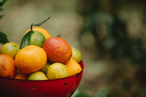 蝸牛觀察日記200字