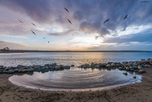 都市林向陽許嘉晴小說百億豪婿在線閱讀