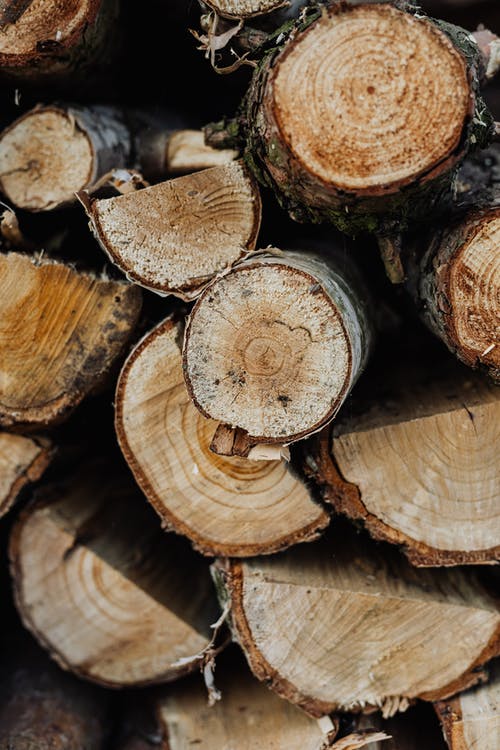 岳晴晴岳建南小說咸魚翻身成福寶完整版閱讀