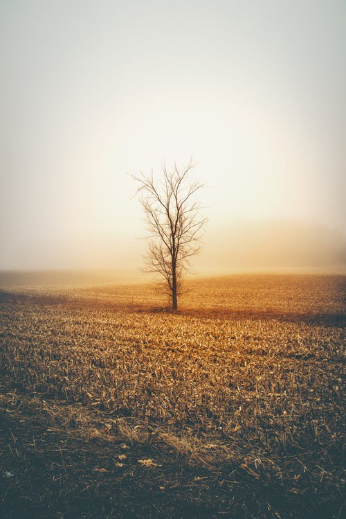 《山坡羊·潼關(guān)懷古》古詩(shī)賞析