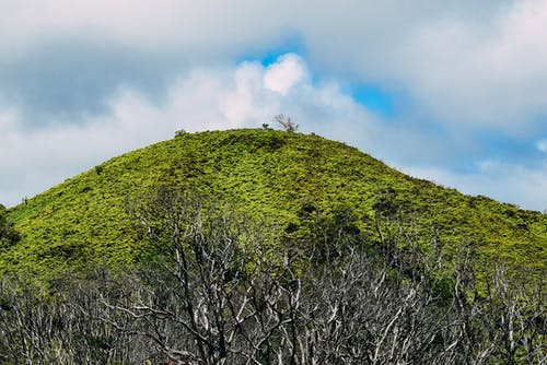 電影《生化危機(jī)5：懲罰》經(jīng)典臺(tái)詞大全