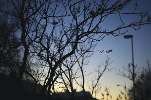 失戀療傷經(jīng)典語(yǔ)錄