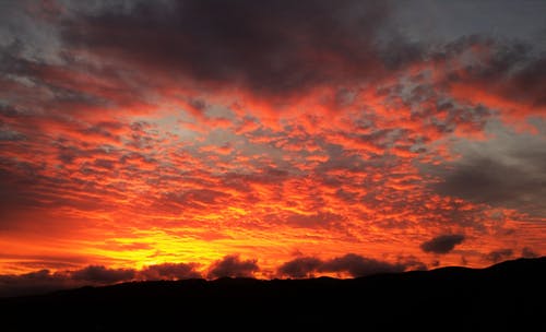 元旦佳節(jié)祝福語例句