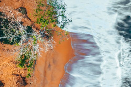 立春快樂的祝福語大匯總61條