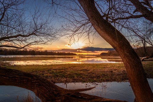 鎮(zhèn)天醫(yī)尊小說林逸凡王麗彩無錯(cuò)版在線閱讀