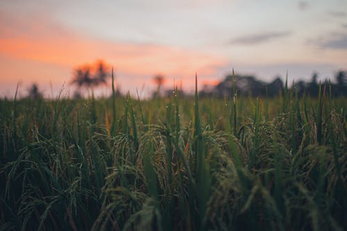 經(jīng)典美文摘抄11篇