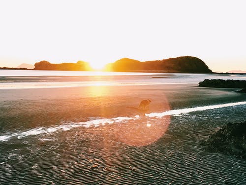 關于友情的現代詩