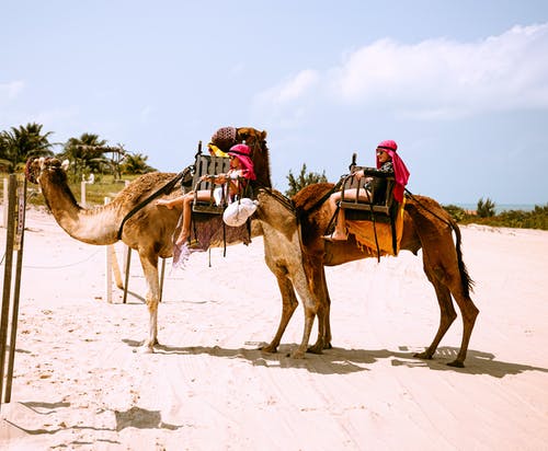 五年級寫人作文我忘不了他