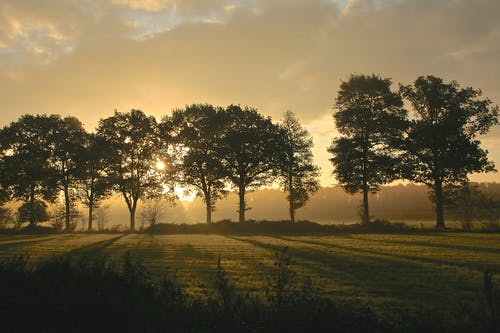 浣溪沙·庚申除夜翻譯及賞析