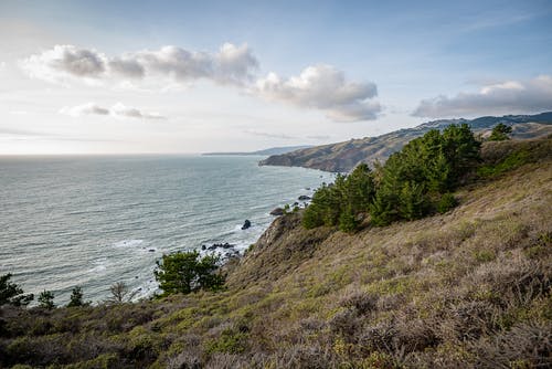 【熱門】下雪日記范文合集八篇