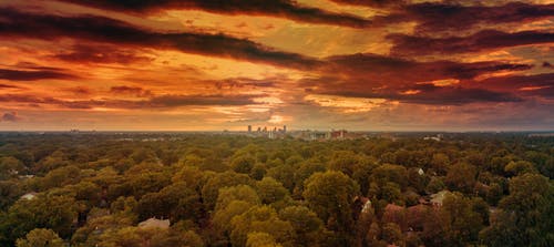 2020年白露祝福問候語合集28條 2020年白露祝福問候語合集28條