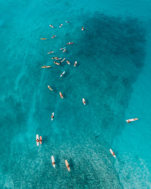 精選母親節(jié)祝福問候語集錦63句 精選母親節(jié)祝福問候語集錦63句