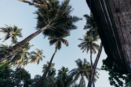 實(shí)用的簡(jiǎn)單心情日記3篇