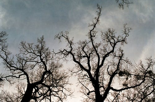 寒假日記400字初中