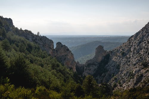中國寓言故事文言文 中國寓言故事文言文