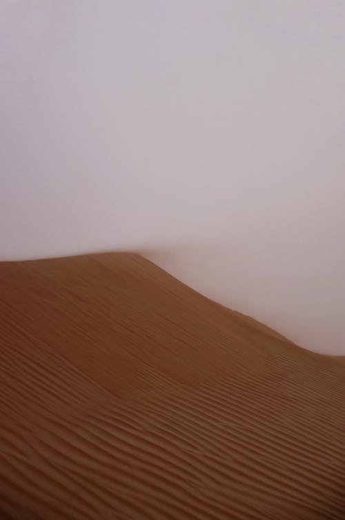 monstar中經(jīng)典臺詞