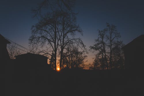 農(nóng)女有蠱病嬌相公得養(yǎng)著小說穿越杜紫蘇元徽在線閱讀